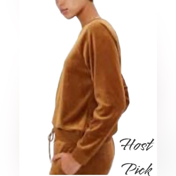 GAP Tops - Gap Velour Crew Neck Sweatshirt in Bright Brown Size XXL NWT